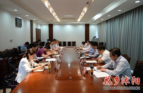 卞建军主持召开生态环保项目建设推进工作会