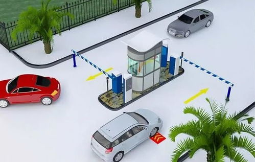 双流区政府推出环保治理项目，破解停车难问题