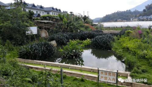 勐海县 以农村污水治理为笔，绘就美丽乡村新画卷